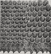 Drawing of honeycomb